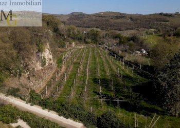 Foto 10 - Rustic Soave - photo 10