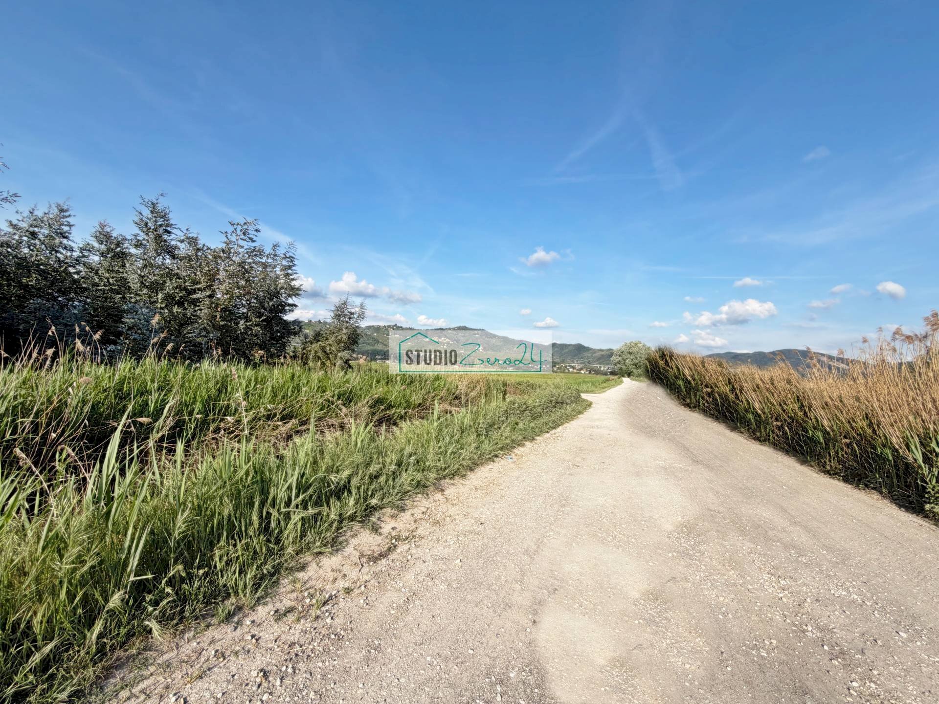 Foto 2 - Terreno agricolo Via Della Pieve, Massarosa - foto 2