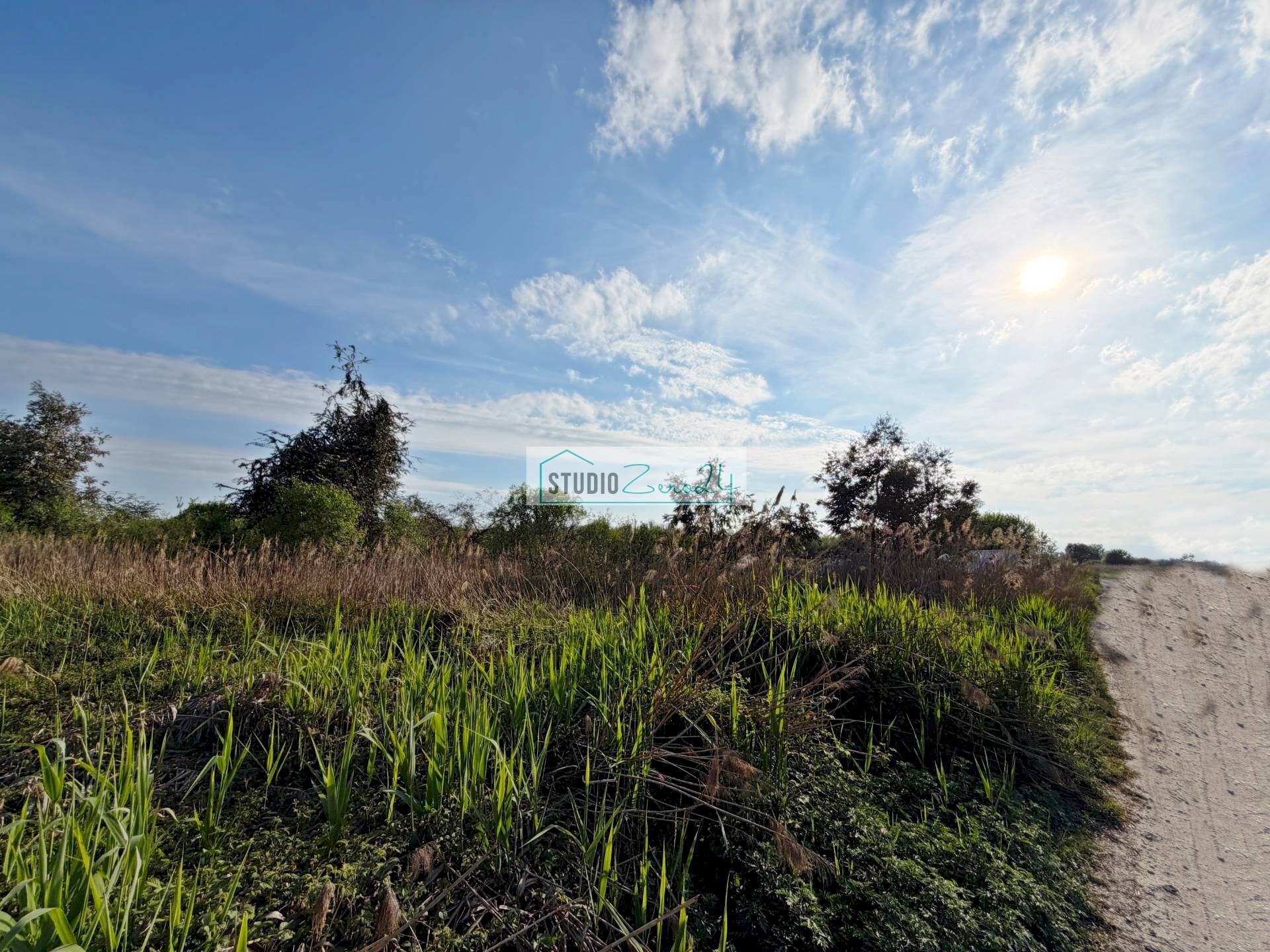 Foto 3 - Terreno agricolo Via Della Pieve, Massarosa - foto 3
