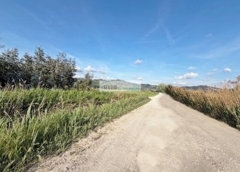 Foto 2 - Terreno agricolo Via Della Pieve, Massarosa - foto 2