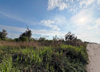 Foto 3 - Terreno agricolo Via Della Pieve, Massarosa - foto 3