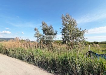 Foto 4 - Terreno agricolo Via Della Pieve, Massarosa - foto 4