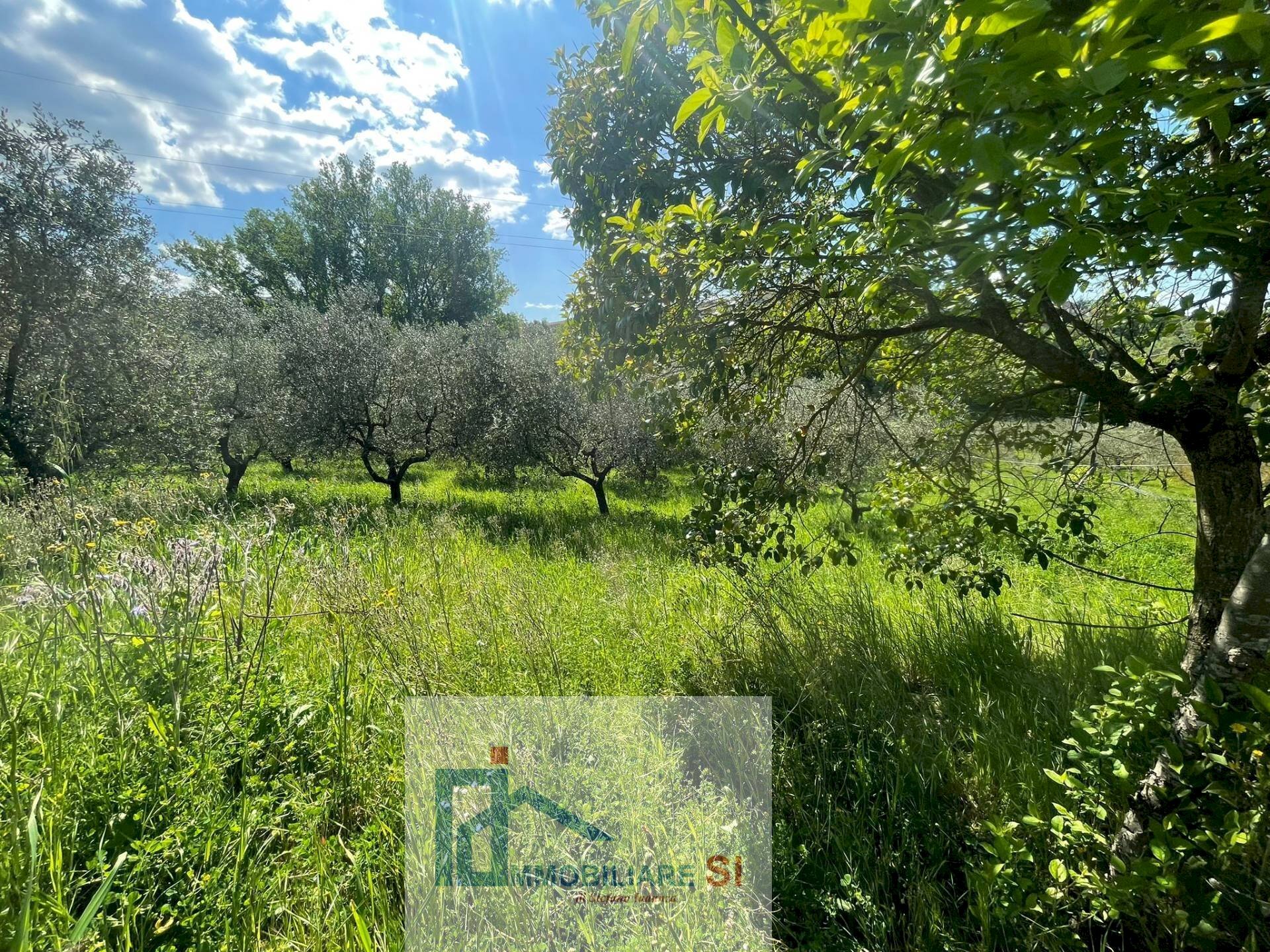 Foto 3 - Terreno agricolo Via Creta Rossa, Benevento - foto 3