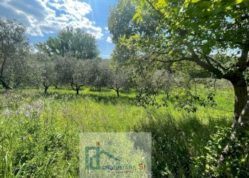 Foto 3 - Terreno agricolo Via Creta Rossa, Benevento - foto 3