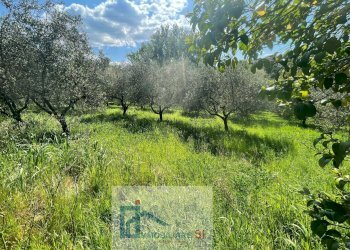 Foto 4 - Terreno agricolo Via Creta Rossa, Benevento - foto 4