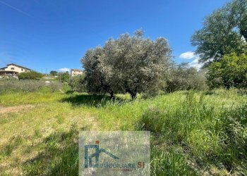 Foto 5 - Terreno agricolo Via Creta Rossa, Benevento - foto 5