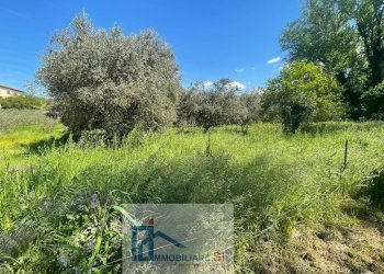 Foto 6 - Terreno agricolo Via Creta Rossa, Benevento - foto 6