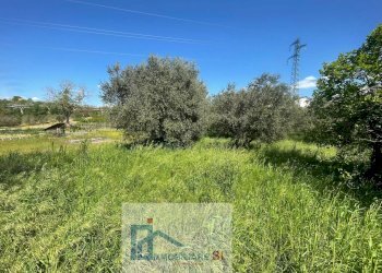 Foto 7 - Terreno agricolo Via Creta Rossa, Benevento - foto 7