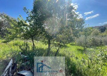 Foto 17 - Terreno agricolo Via Creta Rossa, Benevento - foto 17