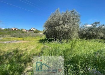 Foto 19 - Terreno agricolo Via Creta Rossa, Benevento - foto 19