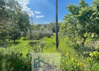 Foto 20 - Terreno agricolo Via Creta Rossa, Benevento - foto 20