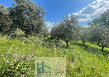 Foto 21 - Terreno agricolo Via Creta Rossa, Benevento - foto 21