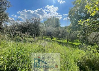 Foto 23 - Terreno agricolo Via Creta Rossa, Benevento - foto 23