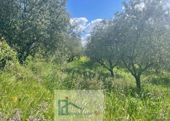 Foto 24 - Terreno agricolo Via Creta Rossa, Benevento - foto 24