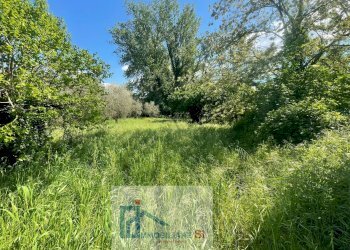 Foto 26 - Terreno agricolo Via Creta Rossa, Benevento - foto 26