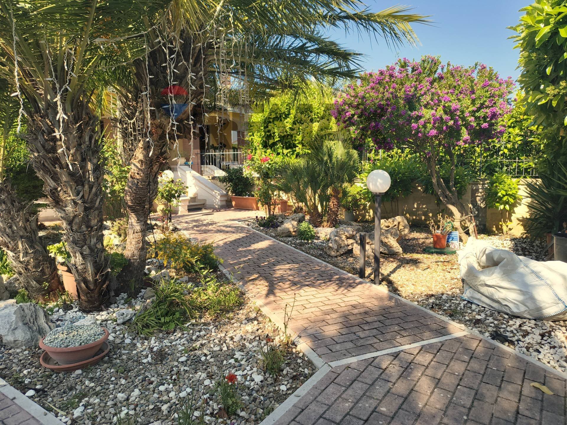 Giardino - Terraced Villa VIA MONTE D'ALBA
 
48, Trani - photo 3