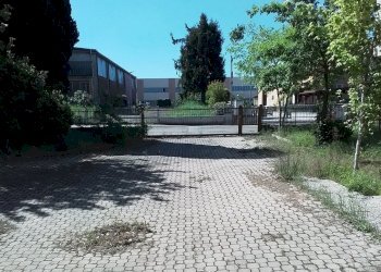 WhatsApp Image 2026-04-27 at 9.18.32 AM.jpeg - Capannone Via di Vagno Giuseppe, Valsamoggia - foto 2