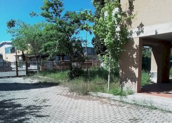 WhatsApp Image 2026-04-27 at 9.18.33 AM.jpeg - Capannone Via di Vagno Giuseppe, Valsamoggia - foto 8