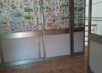 WhatsApp Image 2026-04-27 at 9.18.35 AM (11).jpeg - Capannone Via di Vagno Giuseppe, Valsamoggia - foto 24