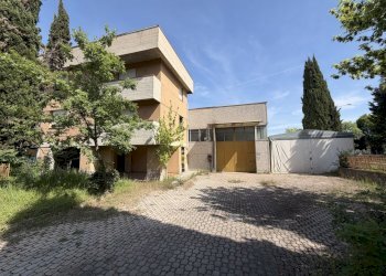 IMG_2741.jpeg - Shed Via di Vagno Giuseppe, Valsamoggia - photo 5