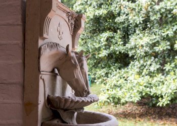 _AAF1722.jpg - Casale OFFAGNA, Offagna - photo 16