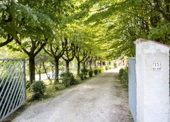 _AAF1772.jpg - Casale OFFAGNA, Offagna - photo 24