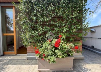 Trilocale Via Enrico Noé, Milano (zona Città Studi) - foto 4