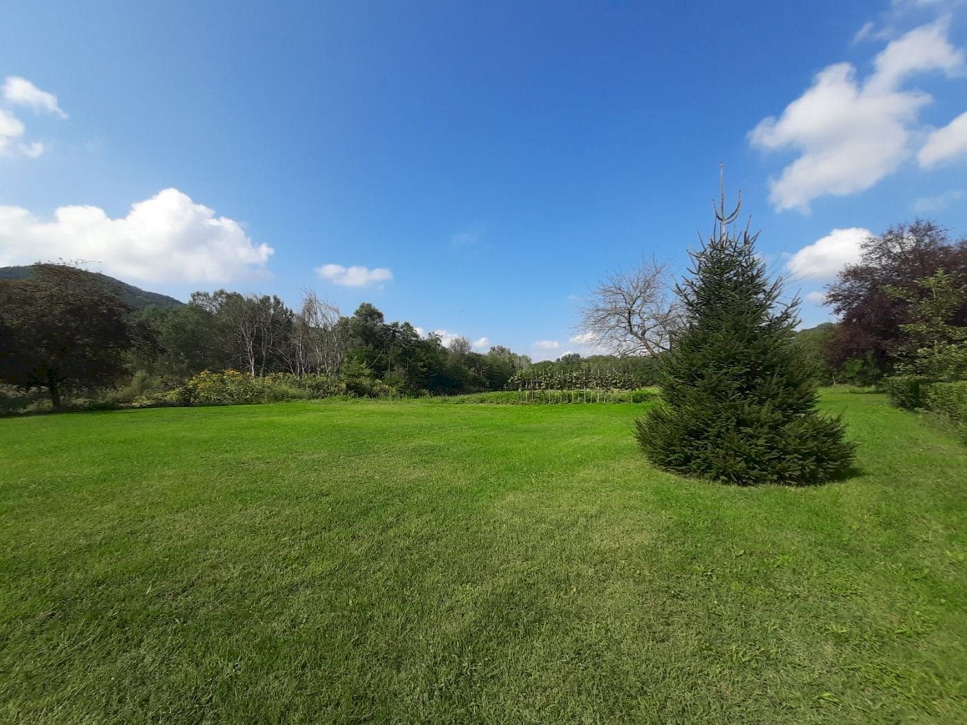 Casa indipendente Montechiaro d'Acqui, Montechiaro d'Acqui - foto 3
