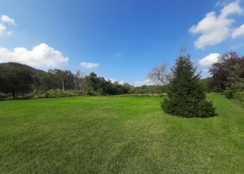 Casa indipendente Montechiaro d'Acqui, Montechiaro d'Acqui - foto 3