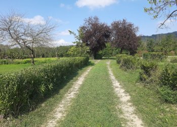 Casa indipendente Montechiaro d'Acqui, Montechiaro d'Acqui - foto 34