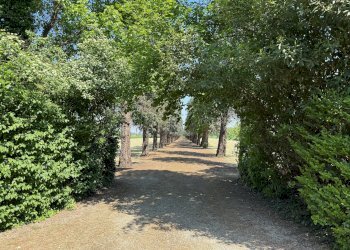 Villa Storica Castel San Pietro Terme - foto 23
