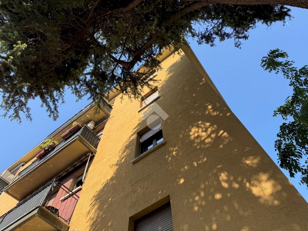 Trilocale Via Serafino Calindri, Bologna (zona San Donato) - foto 1