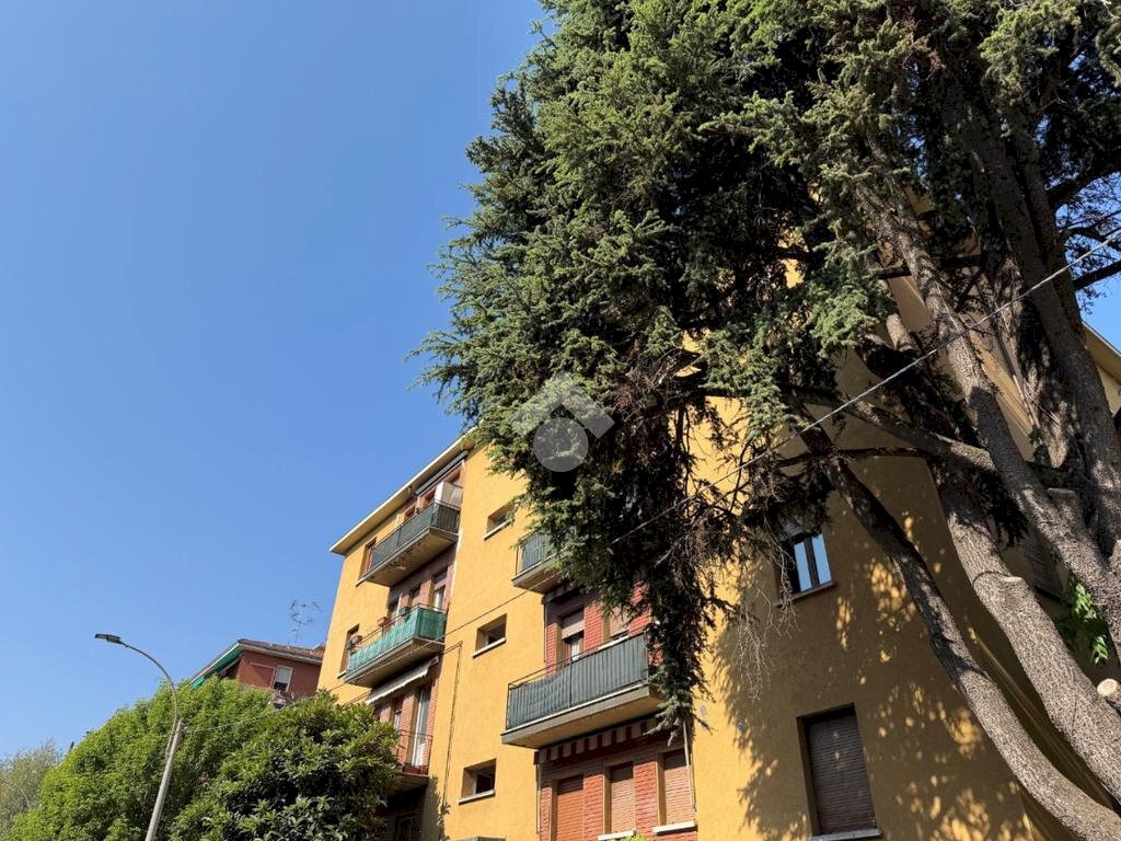 Trilocale Via Serafino Calindri, Bologna (zona San Donato) - foto 2