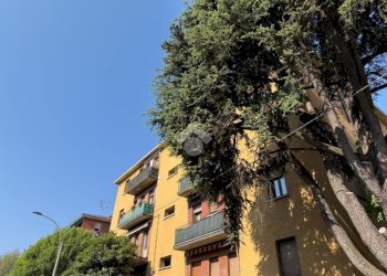 Trilocale Via Serafino Calindri, Bologna (zona San Donato) - foto 2