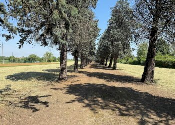 Ufficio Castel San Pietro Terme - foto 10