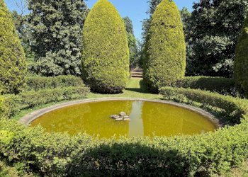 Ufficio Castel San Pietro Terme - foto 6