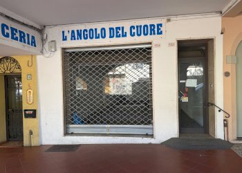 Negozio Castel San Pietro Terme - foto 15