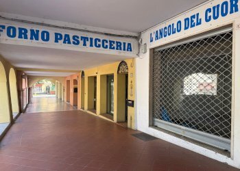 Negozio Castel San Pietro Terme - foto 16