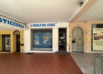 Negozio Castel San Pietro Terme - foto 2