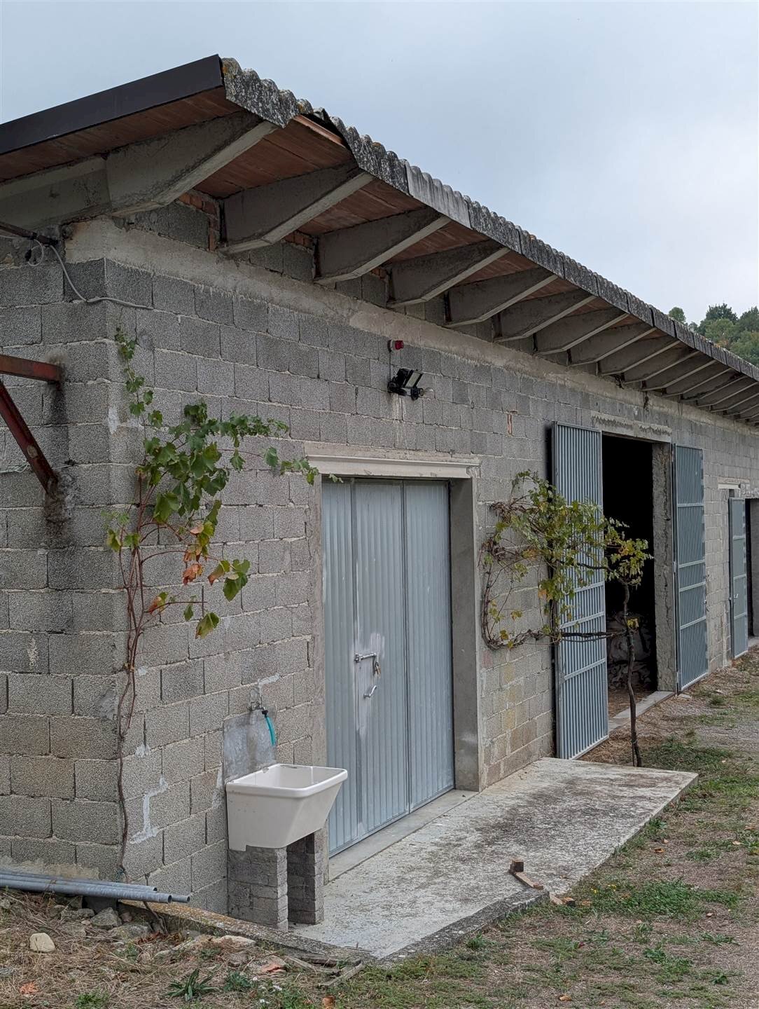 Rustico Via Del Rio sns, Guiglia - foto 2
