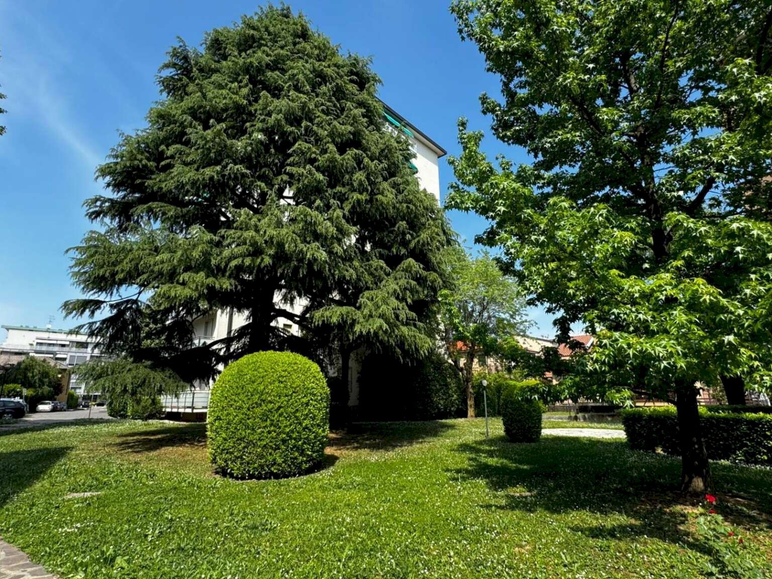 Three-room apartment Vimercate - photo 3