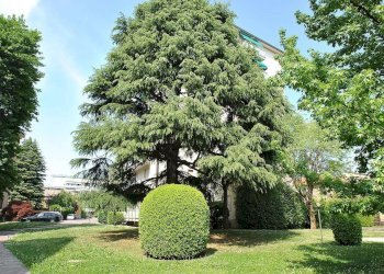 Three-room apartment Vimercate - photo 2