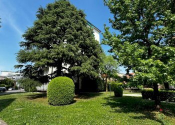 Three-room apartment Vimercate - photo 3