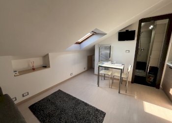 Attic Alba - photo 5