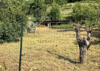 Foto 16 - Rustic Frazione Champretavy, Saint-Pierre - photo 16