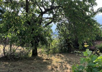 Foto 17 - Rustic Frazione Champretavy, Saint-Pierre - photo 17