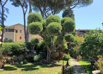 Foto 30 - Appartamento Via Gravina Di Puglia, Roma - foto 30