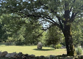 Foto 20 - Independent house Vico nel Lazio - photo 20