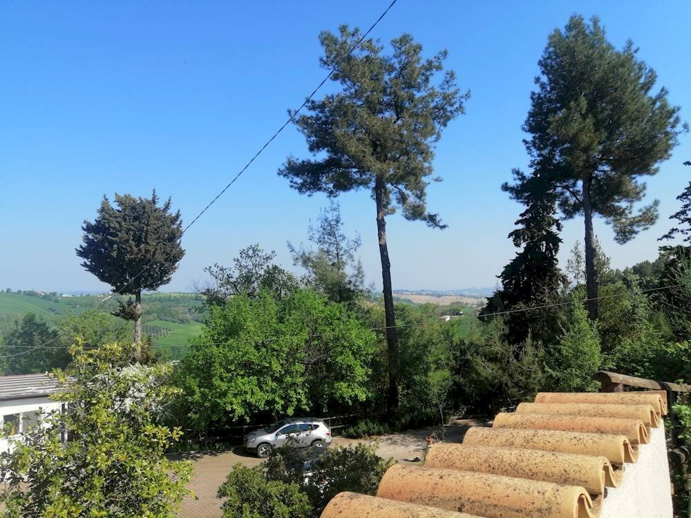 Foto 2 - Villa Via francesco Contuzzi, Santa Maria Nuova - foto 2