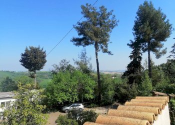 Foto 2 - Villa Via francesco Contuzzi, Santa Maria Nuova - foto 2
